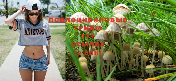 трава Покровск